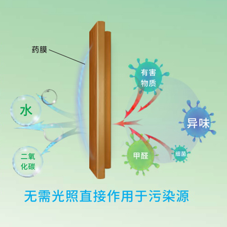 除味真技术